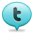 Twitter, social media icon